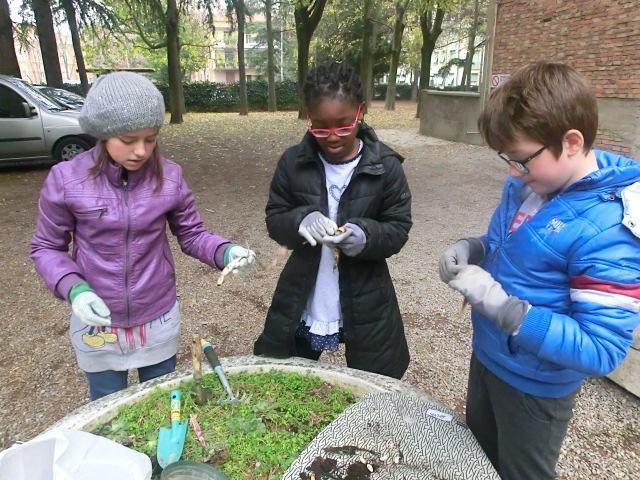 Un successo a Reggio Emilia la Festa dell'Albero di Legambiente