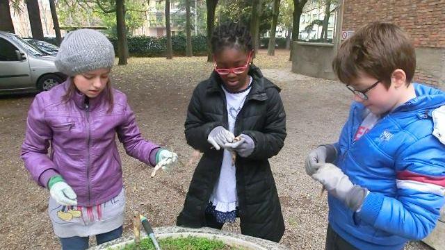 Un successo a Reggio Emilia la Festa dell'Albero di Legambiente