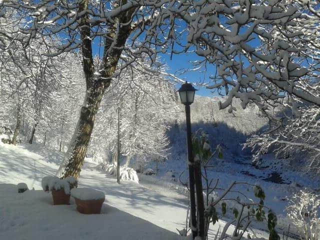 Primi fiocchi di neve anche in Lucchesia 