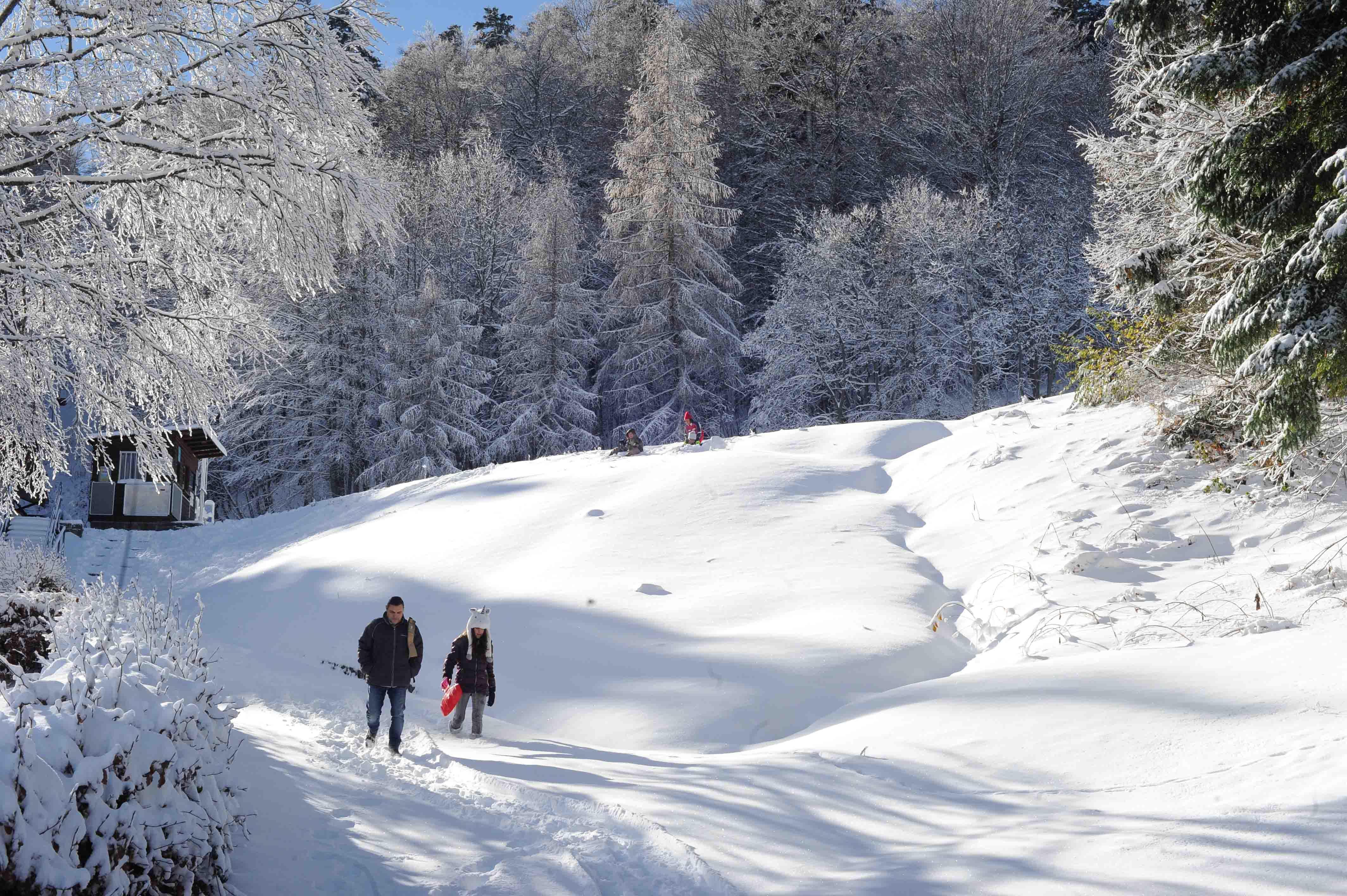 La neve all'Abetone (foto Gori)
