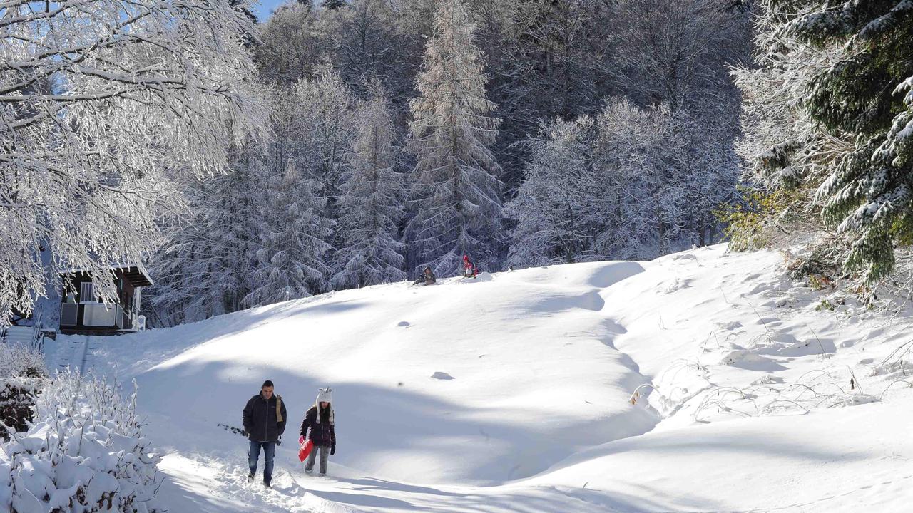 La neve all'Abetone (foto Gori)