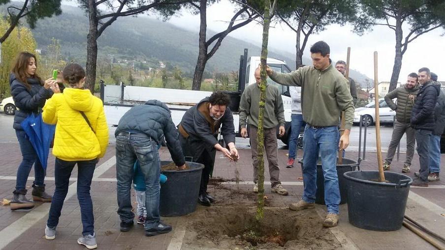 Piantato l’ultimo albero in piazza del Mercato Nuovo