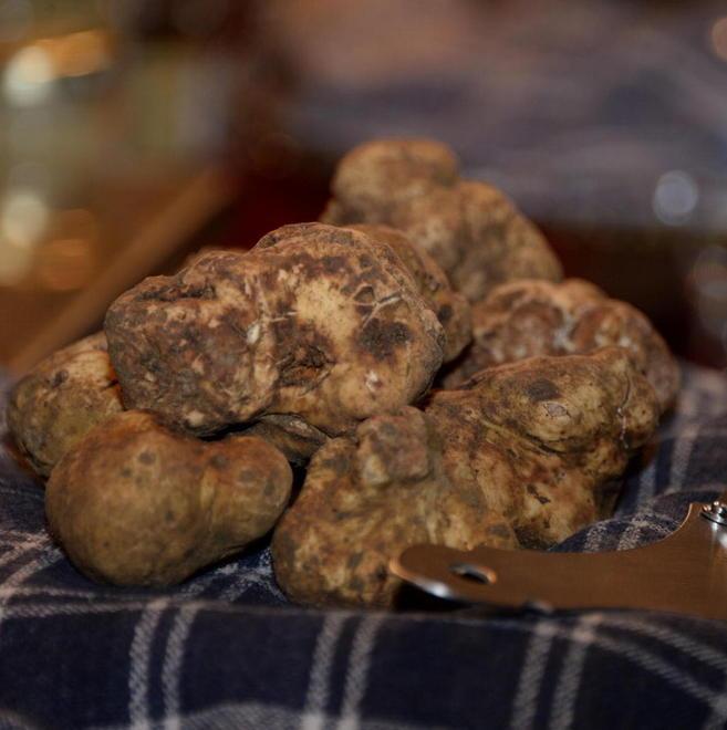 Seconda domenica alla corte di re tartufo e dei prodotti tipici 