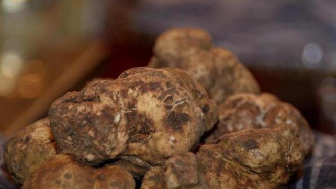 Seconda domenica alla corte di re tartufo e dei prodotti tipici