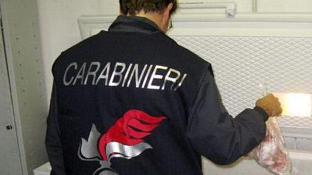 Controlli del Nas: sospesa l’attività di una macelleria
