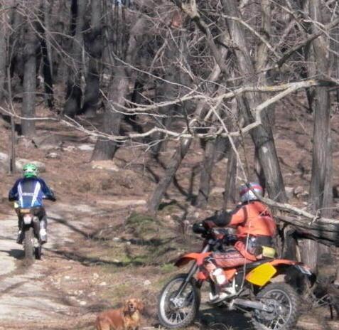 Con la moto nel cuore del Parco 
