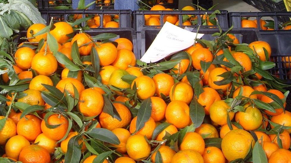 Nasce un comitato sulla biodiversità