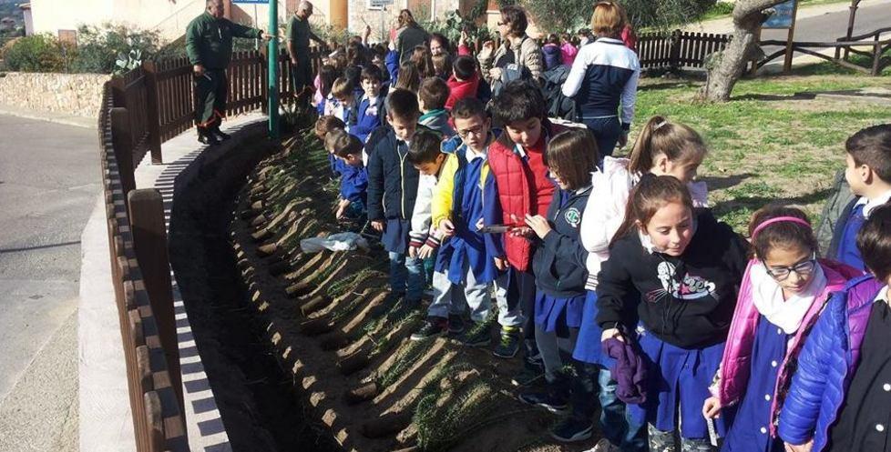 Badesi, tante piante con i nomi dei bambini 