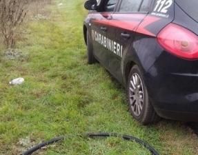 Sorpresi mentre rubano in un'azienda agricola 
