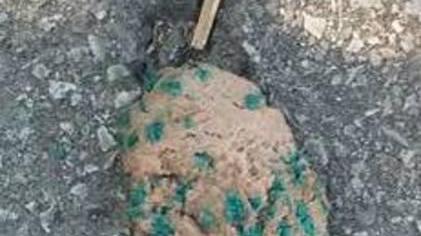 Polpette avvelenate a Cogruzzo