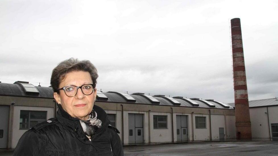 Ciuoffo: «Creaf vicino alla conclusione»