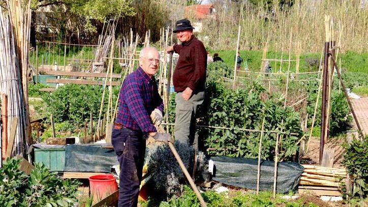 Pesticidi, scatta l’obbligo del patentino