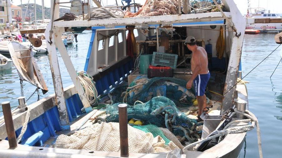 Pesca professionale, incontro tra operatori e Capitaneria