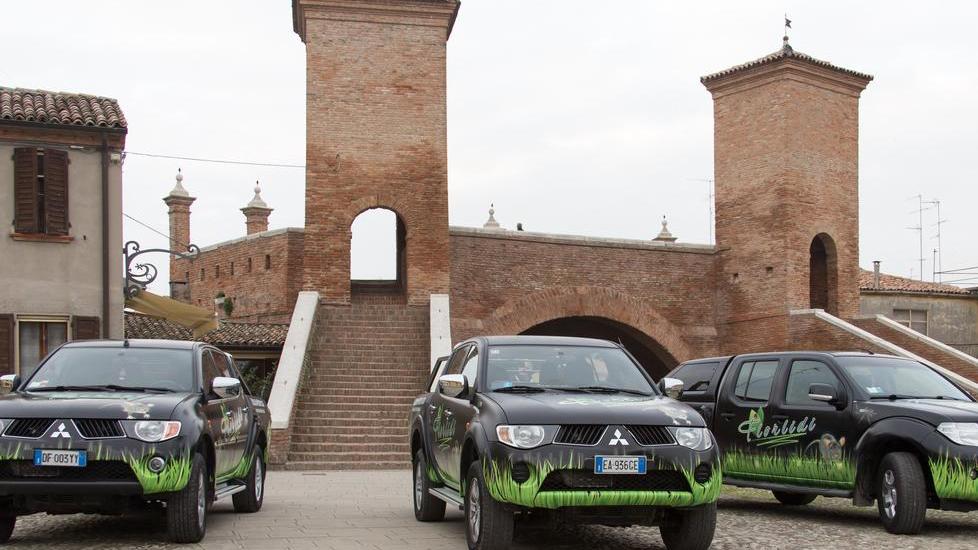 In 25 anni zanzare in calo del 90%