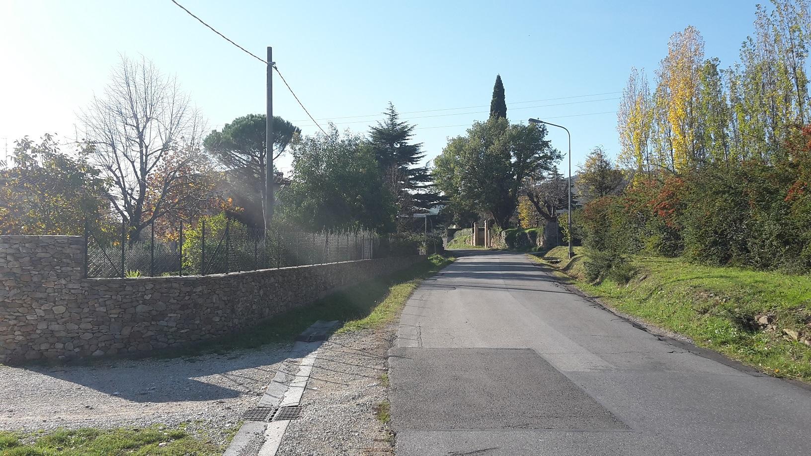 Un tratto della strada provinciale 38