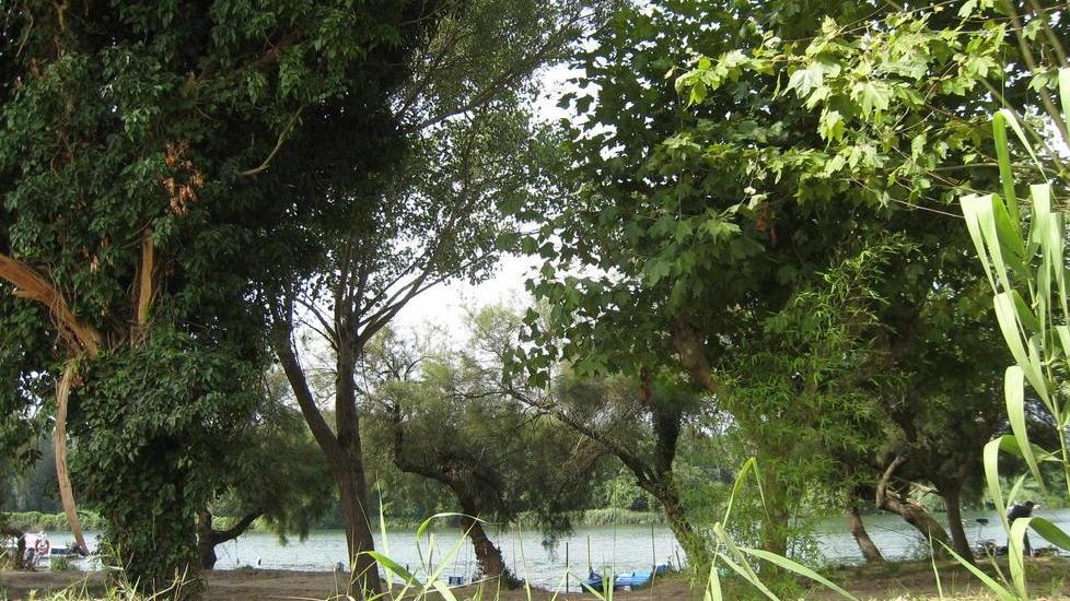 Serchio, assegnati 116 approdi