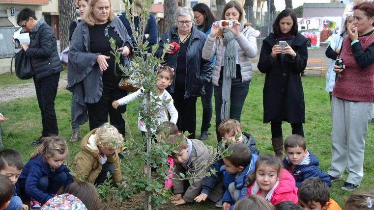 Studenti e alberi la festa va avanti