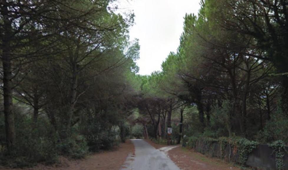 Viabilità, nuovo asfalto a Marina 