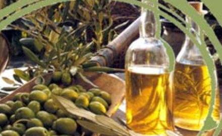 Più olio dalla Tunisia, l’Amiata protesta 