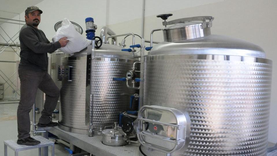 Spumeggiante e giovane, è Saulè la birra nuorese