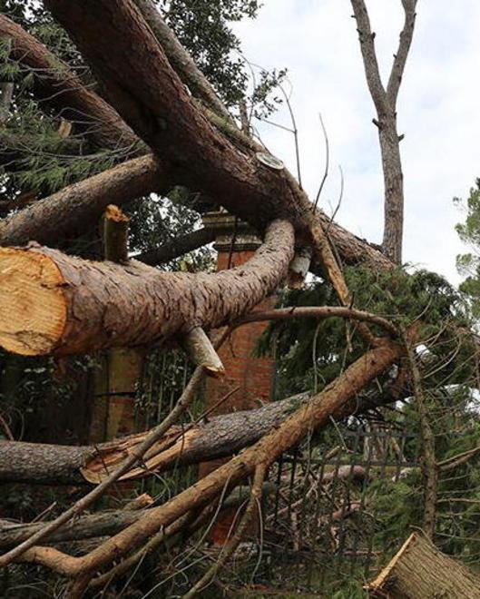 Tornado, Roma riconosce la calamità per l’agricoltura