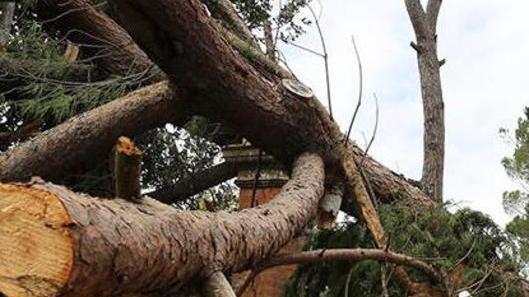 Tornado, Roma riconosce la calamità per l’agricoltura
