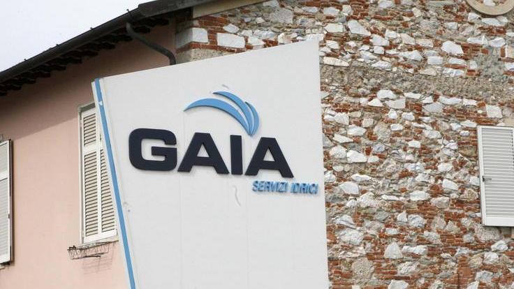 Liquami nel giardino, Gaia non fa i lavori