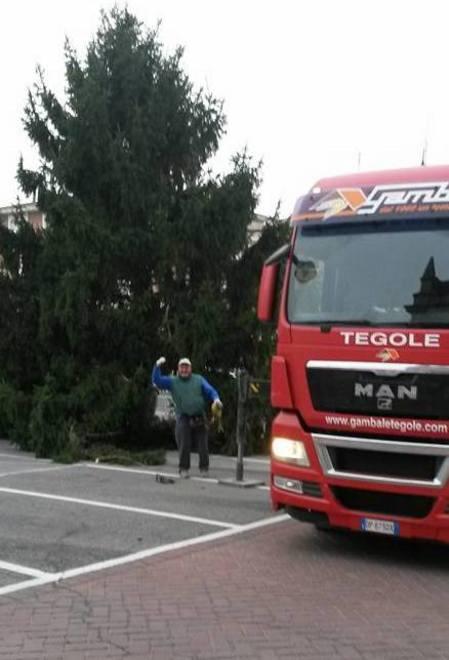 Benefattrice ha donato l’albero di Natale 