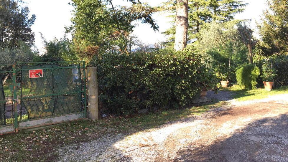 Si amputa le dita d’una mano lavorando con la motosega