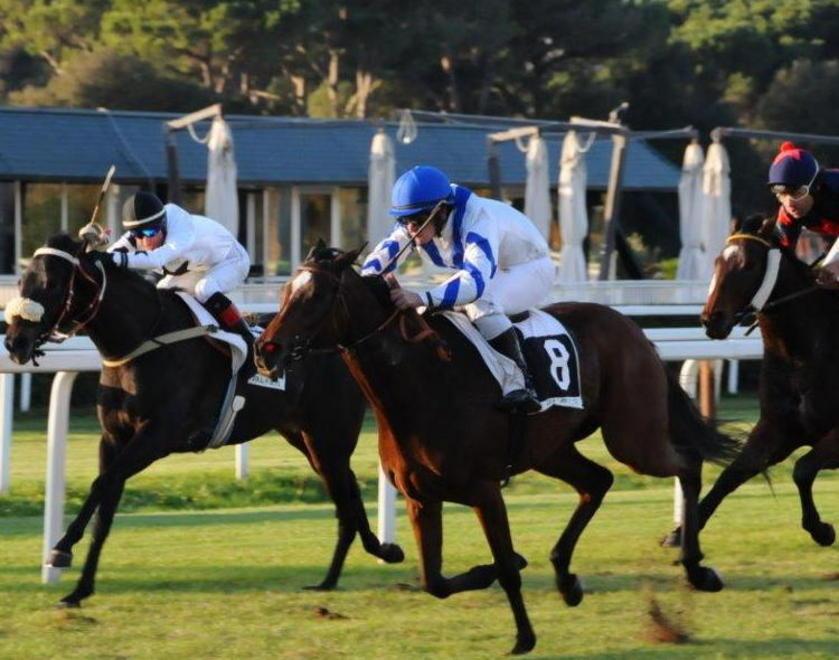 Galoppo, nel “My Top” Sankir non ha rivali 
