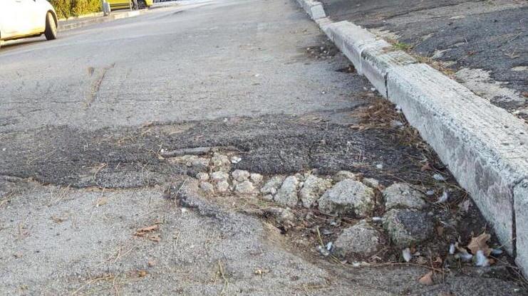 Una strada devastata dalle radici