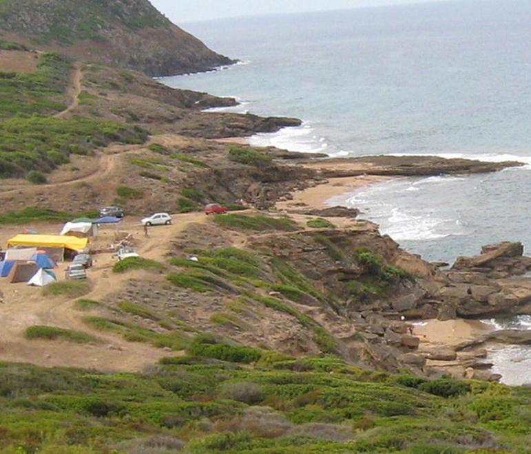 Porte aperte in biblioteca per vedere “I tesori dell’isola”