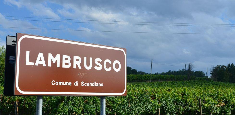 Lambrusco, il caso va in Senato 