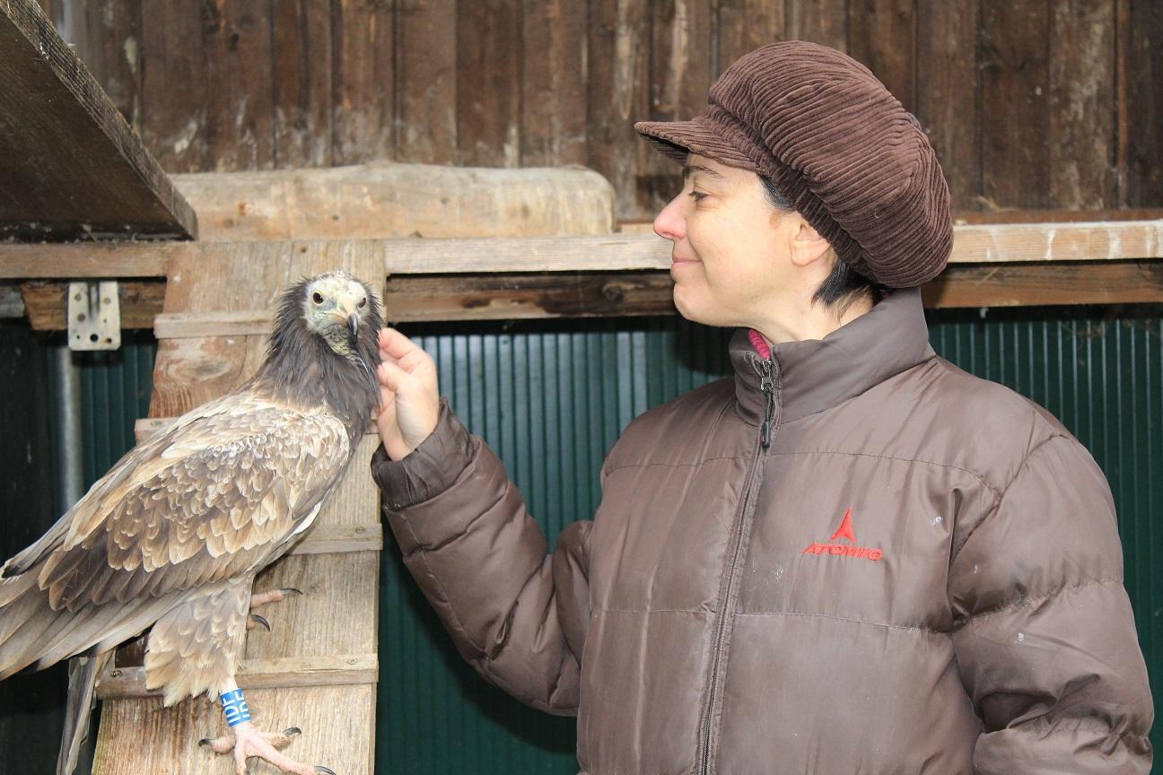 Il capovaccaio Willy con Anna Cenerini del Cerm. La foto è stata scatatta a febbraio: oggi l'uccello è molto più chiaro e con il becco che sta diventando giallo.