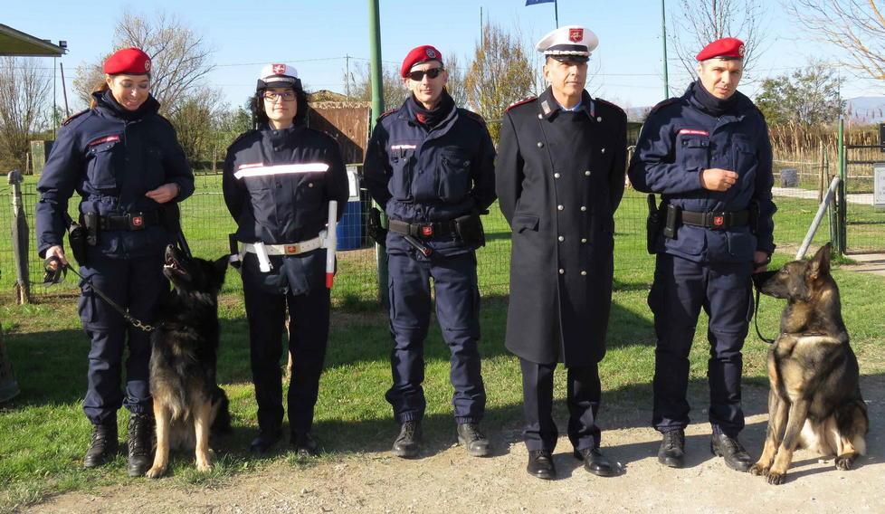 Ecco Devil e Akron, due cani antidroga