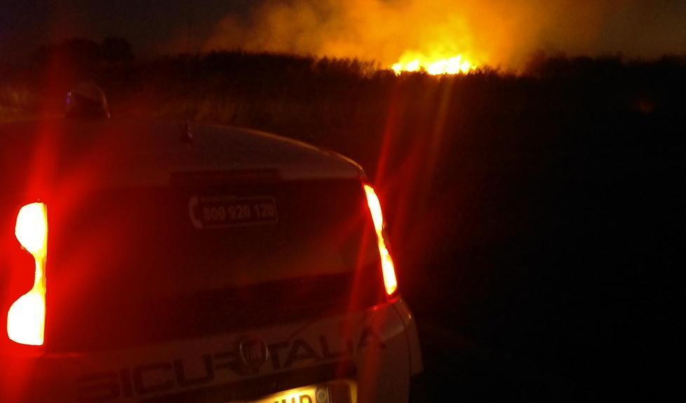 Campi distrutti dalle fiamme 