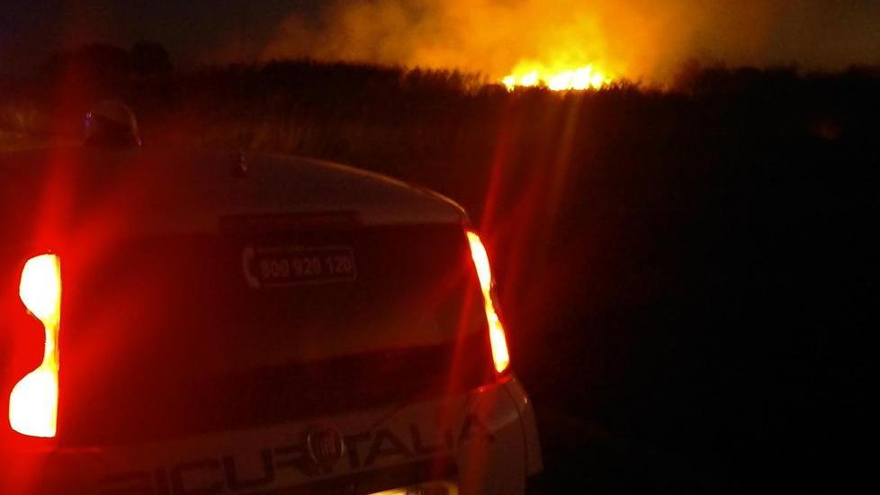 Campi distrutti dalle fiamme