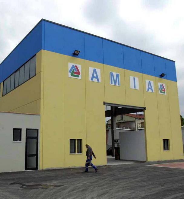 Il sindaco: Amia vale 500.000 euro 