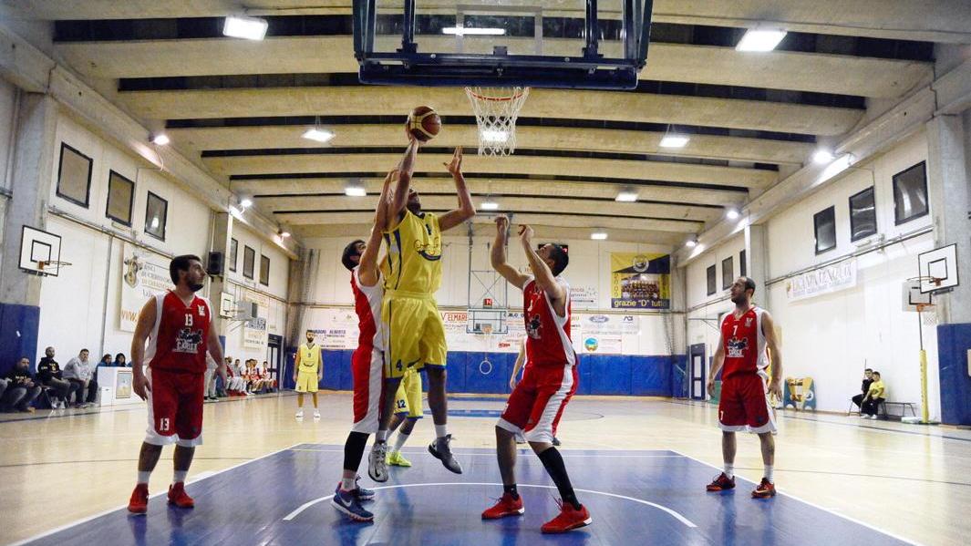 Un match del Basket Cecina (foto Falorni)