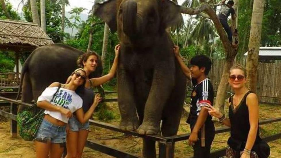 I viaggi, lo studio e le uscite Dolore nel gruppo di amiche