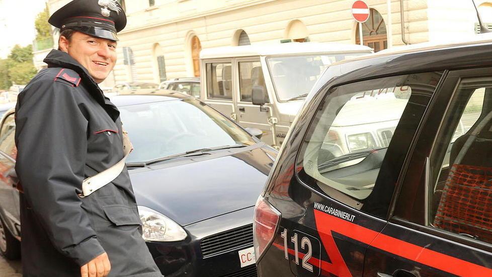 Allevamento abusivo di cani controlli di carabinieri e Asl