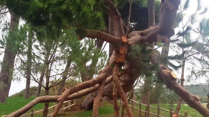 Imbianchini e giardinieri Il regalo dei cassintegrati