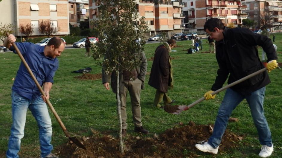 Il M5s pianta 25 nuovi alberi «Importante curare il verde»