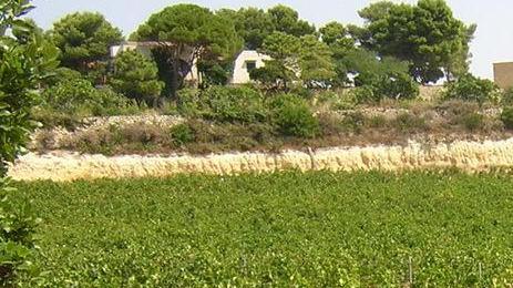 Macomer, gran galà della malvasia e convegno sui vini