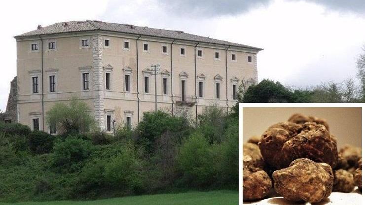 Super tartufo sull’Amiata, è da Guinness dei primati