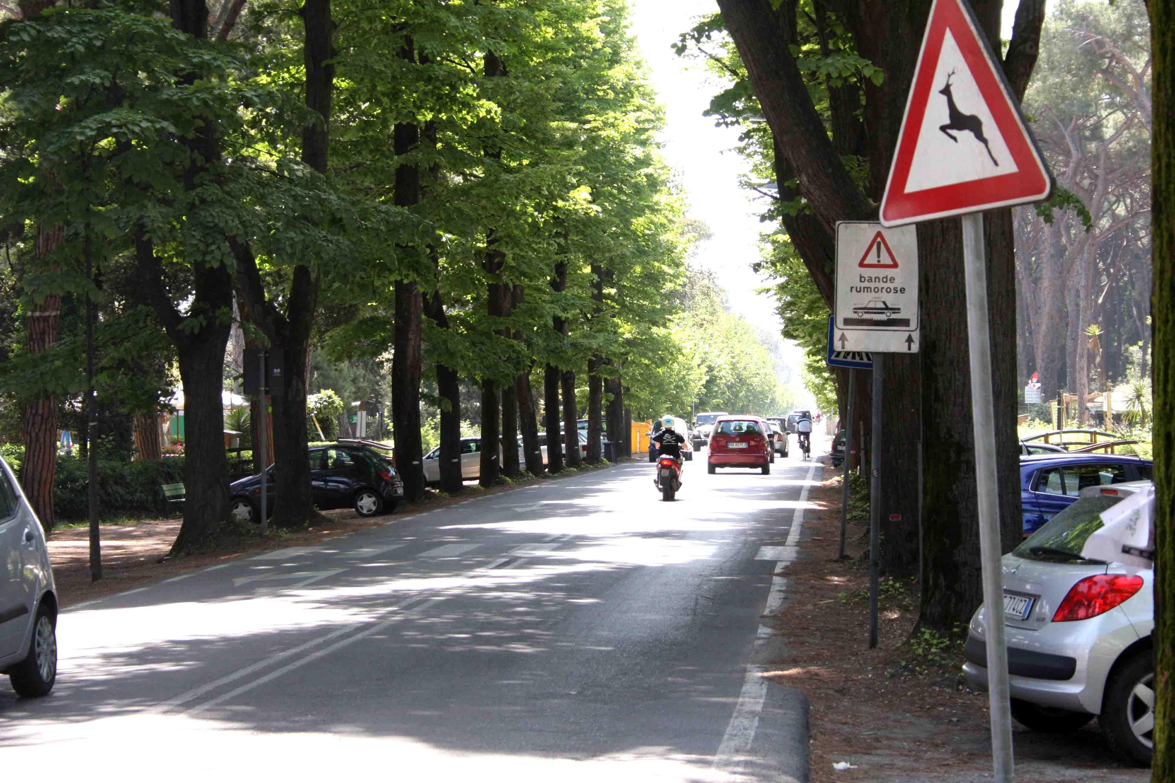 Incidenti stradali: 546 in cinque anni 