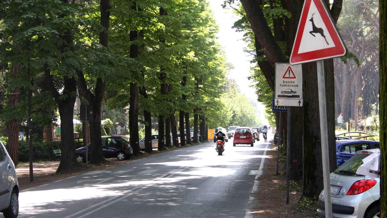 Incidenti stradali: 546 in cinque anni