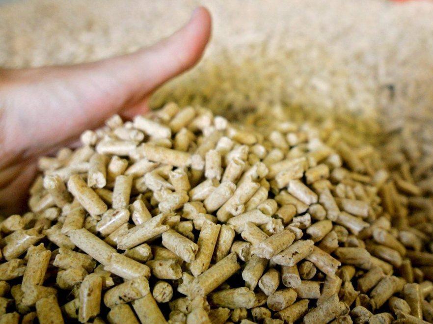 Compra il pellet online, ma è una truffa 