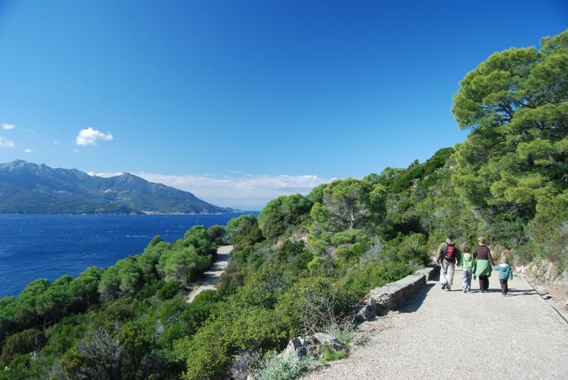 Il sentiero dell'Enfola (foto del Parco scattata da Antonello Marchese)