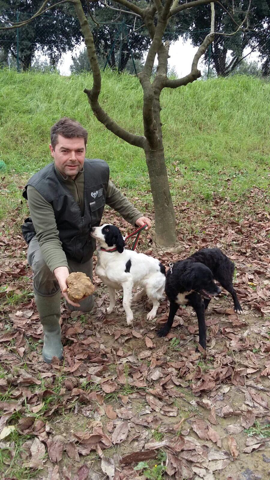 Massimiliano Pampaloni con il tartufo-record